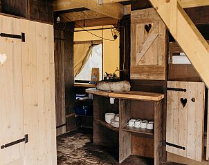 Unterkunft 450482 - Zelthaus Noordzeekust - Beach Lodge