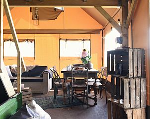 Unterkunft 450485 - Zelthaus Noordzeekust - Beach Lodge Luxe