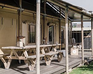 Unterkunft 450485 - Zelthaus Noordzeekust - Beach Lodge Luxe