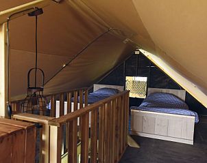 Unterkunft 450485 - Zelthaus Noordzeekust - Beach Lodge Luxe