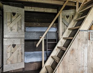 Unterkunft 450485 - Zelthaus Noordzeekust - Beach Lodge Luxe