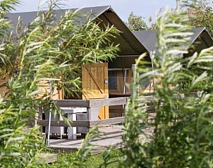 Guest house 450490 - Tent house Noordzeekust - Vakantiepark Callassande