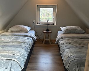 Schapen in het bos bij NH137 vakantiehuis, Groet, Noordzeekust, Noord-Holland.