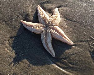 Zandkastelen bouwen op het strand bij NH137 vakantiehuis, Groet, Noord-Holland.