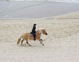 Winterlandschap rondom NH137 vakantiehuis, Groet, Noord-Holland.