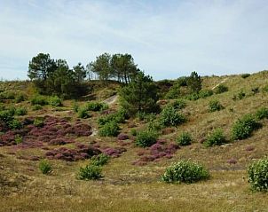Prachtige duinen bij Vakantiehuis in Groet, Noordzeekust, Noord-Holland