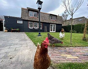 Verblijf 450518 - Vakantiewoning Noordzeekust - NH043