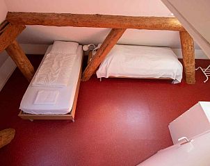 Paddestoel in de natuur bij vakantiewoning NH141 Groet Noordzeekust Noord-Holland