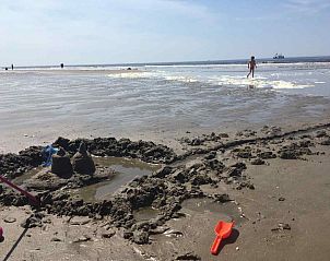 Zeehond op het strand nabij vakantiehuis NH141 Groet Noordzeekust Noord-Holland