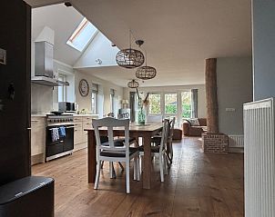 Zeester op het strand bij NH141 vakantiehuis Groet Noordzeekust Noord-Holland