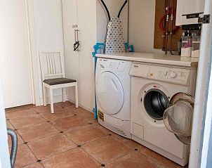 Kippen in de tuin van NH141 vakantiehuis Groet Noordzeekust Noord-Holland