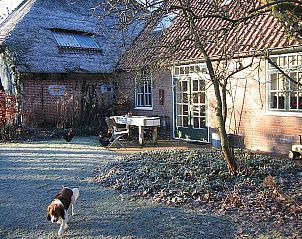 Verblijf 450533 - Vakantiewoning Noordzeekust - 25873