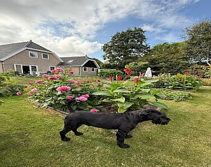 Verblijf 450534 - Vakantiewoning Noordzeekust - Fancy