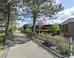 Sfeervolle straat met bomen bij Wildrijk 152 Sint Maartenszee vakantiehuis in Noord-Holland.