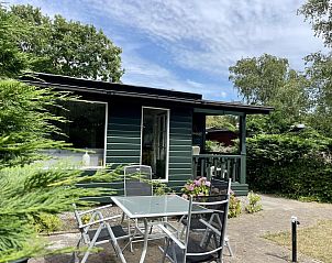 Unterkunft 4506166 - Ferienhaus Noordzeekust - Campanula 173
