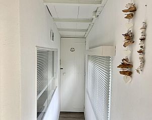 Unterkunft 4506166 - Ferienhaus Noordzeekust - Campanula 173