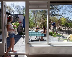 Unterkunft 4506205 - Ferienhaus Noordzeekust - 271375