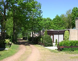 Guest house 450623 - Holiday property Noordzeekust - Kloosterbos 5