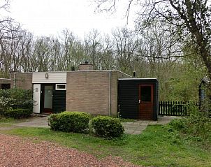 Guest house 450623 - Holiday property Noordzeekust - Kloosterbos 5