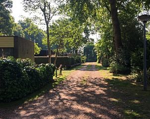 Guest house 450623 - Holiday property Noordzeekust - Kloosterbos 5