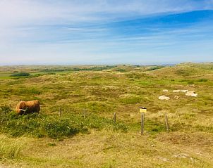 Prachtig uitzicht op de natuurlijke omgeving van stacaravan De Zeemeeuw in Sint Maartenszee, Noordzeekust, Noord-Holland.