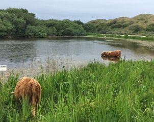 Verblijf 450628 - Stacaravan Noordzeekust - De Zeemeeuw