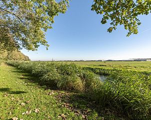 Unterkunft 450639 - Ferienhaus Noordzeekust - Duinland 110