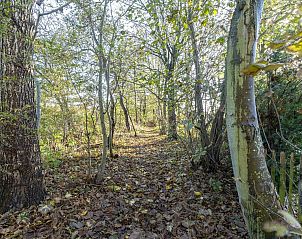 Unterkunft 450682 - Ferienhaus Noordzeekust - Duinland 186
