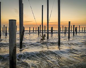 Guest house 450722 - Holiday property Noordzeekust - Vrijstaande woning in Petten