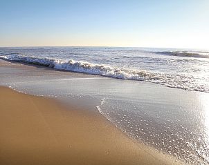 Unterkunft 451113 - Ferienhaus Noordzeekust - NH506