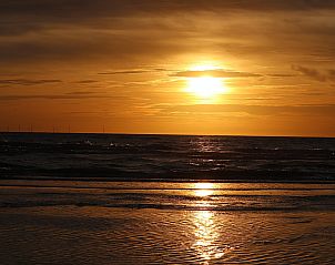 Unterkunft 451113 - Ferienhaus Noordzeekust - NH506