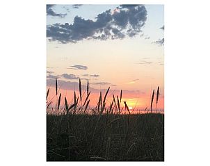 Verblijf 451124 - Vakantiewoning Noordzeekust - 573426
