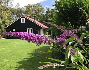 Unterkunft 451207 • Ferienhaus Noordzeekust • Vakantiehuis in Egmond aan den Hoef 