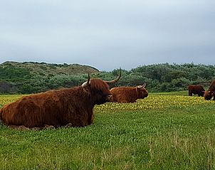 Guest house 451218 - Holiday property Noordzeekust - Vakantiehuis Sommerhaus Klein Wimmenum, N�he Strand und D�