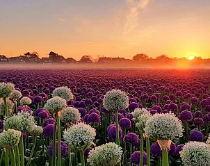 Guest house 451218 - Holiday property Noordzeekust - Vakantiehuis Sommerhaus Klein Wimmenum, N�he Strand und D�