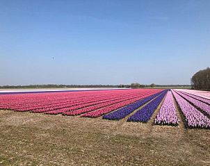 Guest house 451218 - Holiday property Noordzeekust - Vakantiehuis Sommerhaus Klein Wimmenum, N�he Strand und D�