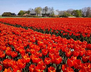 Guest house 451218 - Holiday property Noordzeekust - Vakantiehuis Sommerhaus Klein Wimmenum, N�he Strand und D�