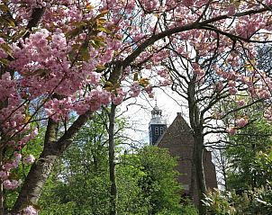 Guest house 451218 - Holiday property Noordzeekust - Vakantiehuis Sommerhaus Klein Wimmenum, N�he Strand und D�