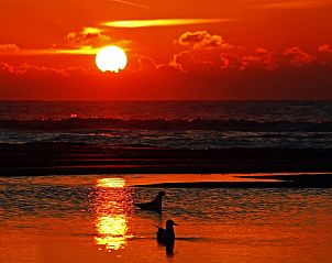 Guest house 451218 - Holiday property Noordzeekust - Vakantiehuis Sommerhaus Klein Wimmenum, N�he Strand und D�