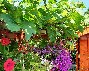 Guest house 451218 - Holiday property Noordzeekust - Vakantiehuis Sommerhaus Klein Wimmenum, N�he Strand und D�