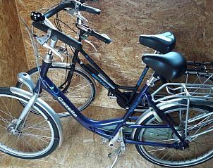 Unterkunft 451234 - Ferienhaus Noordzeekust - Vakantiehuis in Egmond aan den Hoef