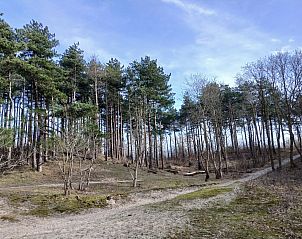 Unterkunft 451260 - Ferienhaus Noordzeekust - NH642