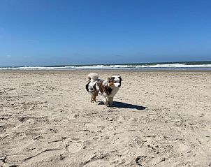 Unterkunft 451298 - Ferienhaus Noordzeekust - Tussen Duin en Strand