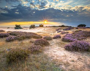 Unterkunft 451504 - Ferienhaus Noordzeekust - Vakantiehuis DD 45 - Camping de Duindoorn - AIRCO