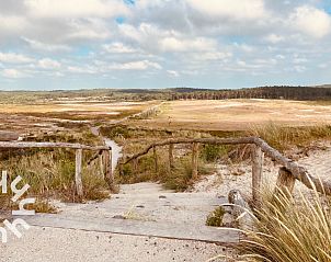 Guest house 451702 - Holiday property Noordzeekust - NH294