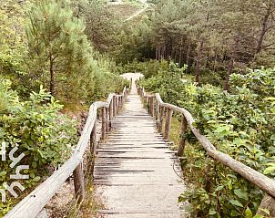 Guest house 451702 - Holiday property Noordzeekust - NH294