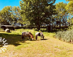 Guest house 451702 - Holiday property Noordzeekust - NH294