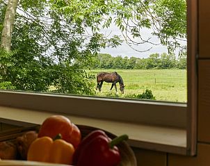 Guest house 451704 - Holiday property Noordzeekust - Vakantiehuis in schoorldam