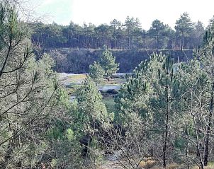 Guest house 451712 - Holiday property Noordzeekust - NH248