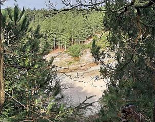 Guest house 451712 - Holiday property Noordzeekust - NH248